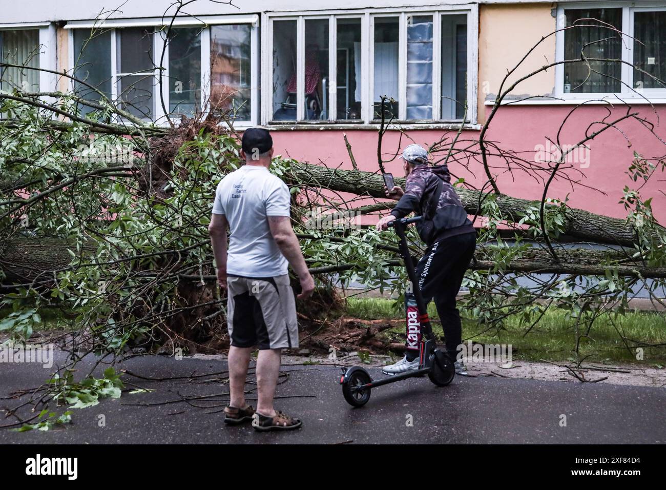 Man fotografiert die Folgen des Hurrikans in Form von entwurzelten umgestürzten Bäumen auf der Partizan Deutschen Straße in der Nähe von Haus 26. Ein mächtiger Hurrikan bedeckte mehrere Bezirke von St. Petersburg gleichzeitig. Im Bezirk Newski stürzte ein Baukran aufgrund eines Hurrikans. Im Stadtteil Krasnoselski, in der Partizan-Straße, in der Nähe von Haus 26, wurden nacheinander Bäume aus dem Boden gerissen. Der Gouverneur von St. Petersburg Beglov forderte die Bewohner von St. Petersburg auf, wegen Gewittern und Hurrikanen zu Hause zu bleiben. Mindestens ein Hurrikanopfer wurde in St. Petersburg gemeldet. Stockfoto