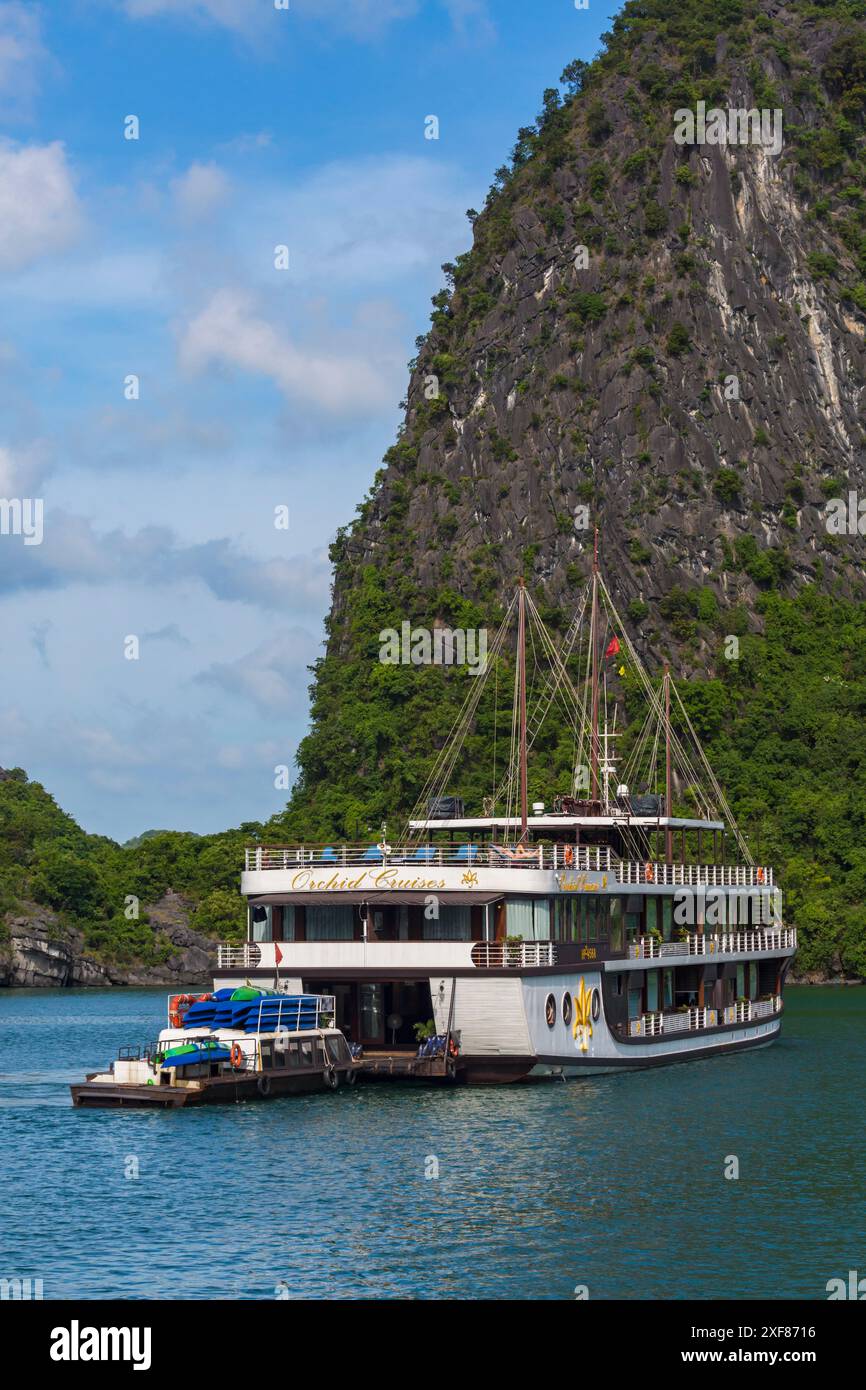 Orchid Cruises Kreuzfahrtschiff in der Halong Bay Ha Long Bay mit Kreuzfahrtschiff in der Bucht, Nordvietnam, Asien im Juni - Orchid Cruises Stockfoto