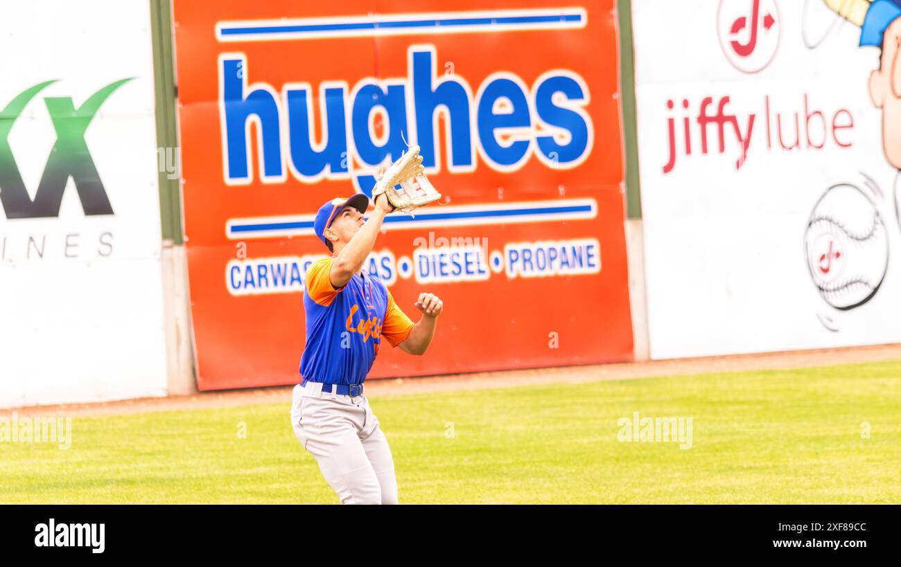 Edmonton, Kanada. 30. Juni 2024. Port Angelas (LF) Zach Blair fängt einen High-fly-Ball während des Spiels gegen die Port Angeles Linke aus der West Coast League im Remax Field. Edmonton River Hawks 3:2 Port Angeles Linke (Foto: Ron Palmer/SOPA Images/SIPA USA) Credit: SIPA USA/Alamy Live News Stockfoto