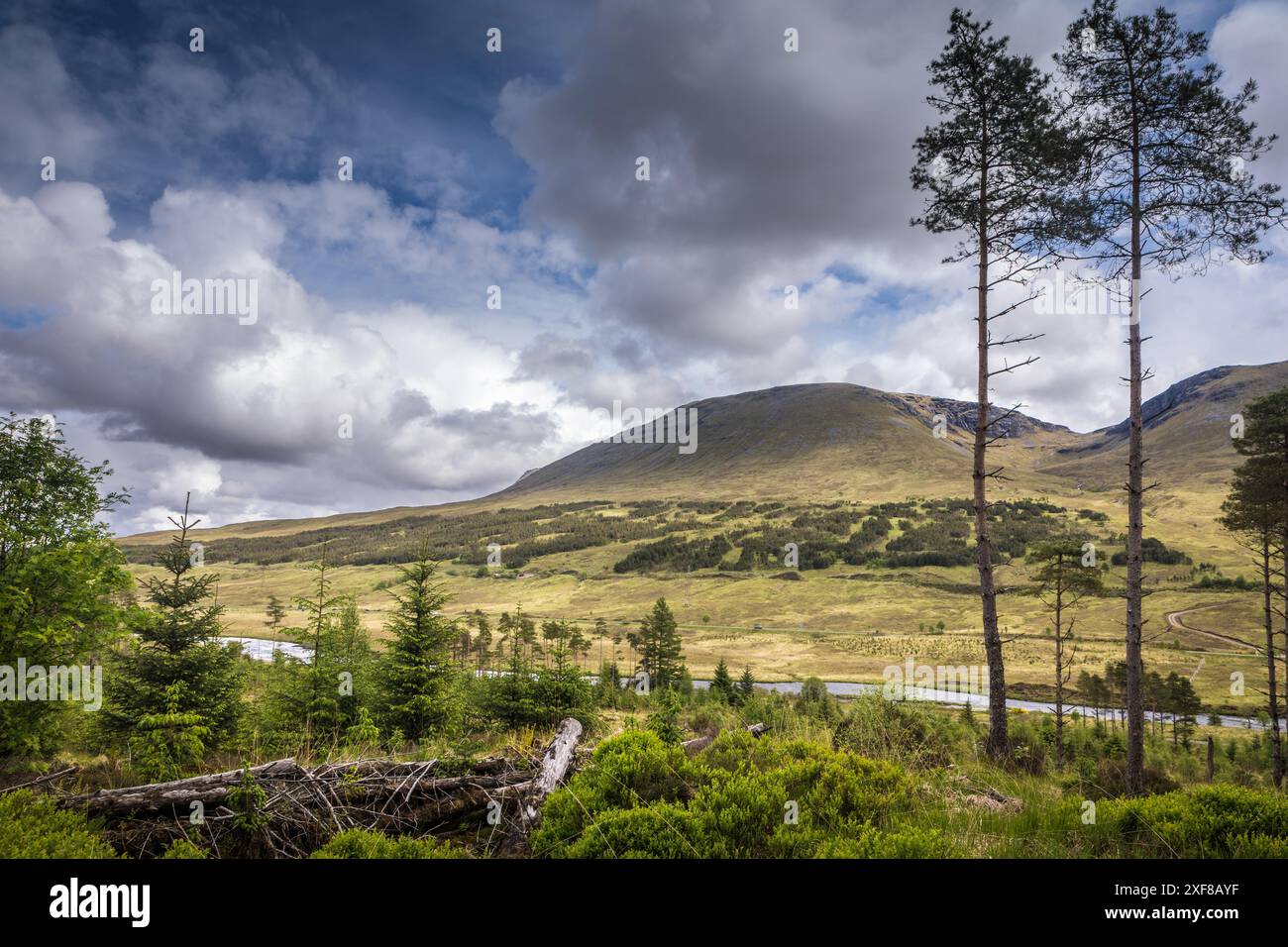 Geographie / Reise, Großbritannien, Schottland, Landschaft auf West Highland Way bei Bridge of Orchy, ADDITIONAL-RIGHTS-CLEARANCE-INFO-NOT-AVAILABLE Stockfoto
