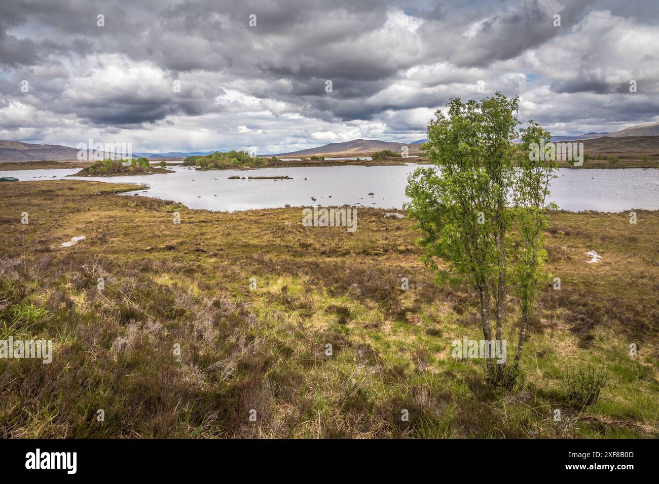 Geografie / Reise, Großbritannien, Schottland, Blick auf Loch Ba im Rannoch Moor, ADDITIONAL-RIGHTS-CLEARANCE-INFO-NOT-AVAILABLE Stockfoto