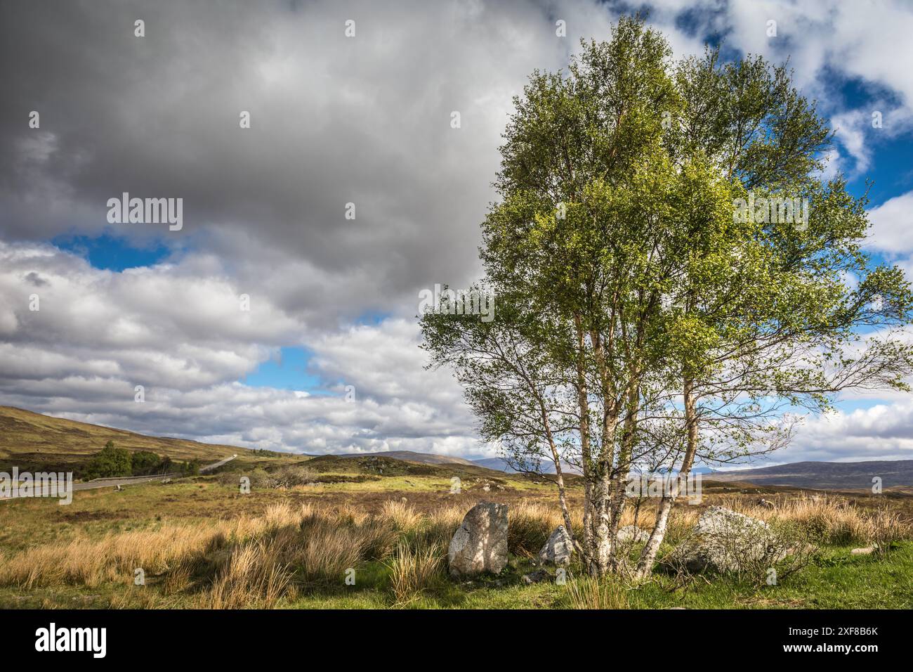 Geografie / Reise, Großbritannien, Schottland, Rannoch Moor bei Loch Bà, ADDITIONAL-RIGHTS-CLEARANCE-INFO-NOT-AVAILABLE Stockfoto