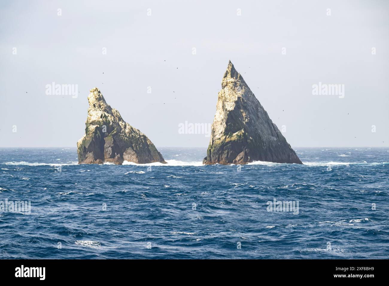 Sackfelsen (Südgeorgien), Aurora-Inseln, Inselchen, 53°32′51″ S 42°01′12″ W Stockfoto