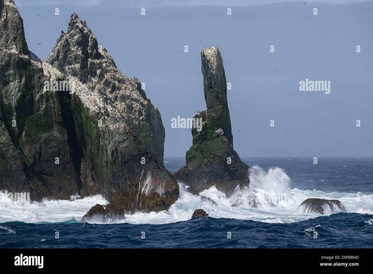 Sackfelsen (Südgeorgien), Aurora-Inseln, Inselchen, 53°32′51″ S 42°01′12″ W Stockfoto