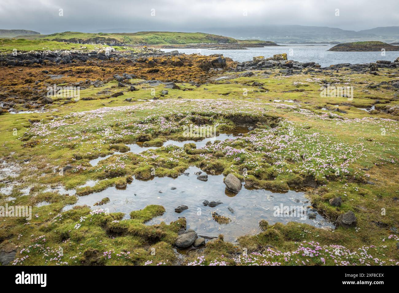 Geografie / Reise, Großbritannien, Schottland, Küstenlandschaft am Loch Dunvegan, Isle of Skye, ADDITIONAL-RIGHTS-CLEARANCE-INFO-NOT-AVAILABLE Stockfoto