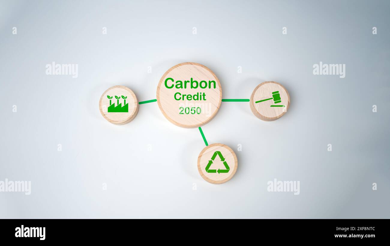 Netto Null bis 2050, Holzblock mit Carbon Cerdit Text in 2050 auf weißem Hintergrund, CO2 neutral, Netto Null Treibhausemissionen Ziel, Klima Stockfoto