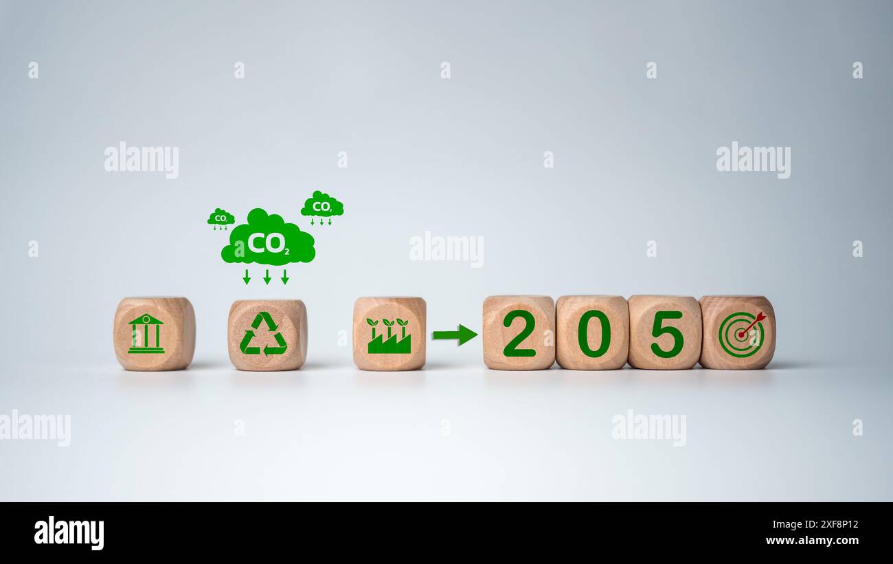 Netto Null bis 2050, Holzblock mit CO2-Gutschrift-Symbol 2050 auf weißem Hintergrund, CO2-neutral, Netto-Null-Treibhausgasemissionsziel, Clima Stockfoto