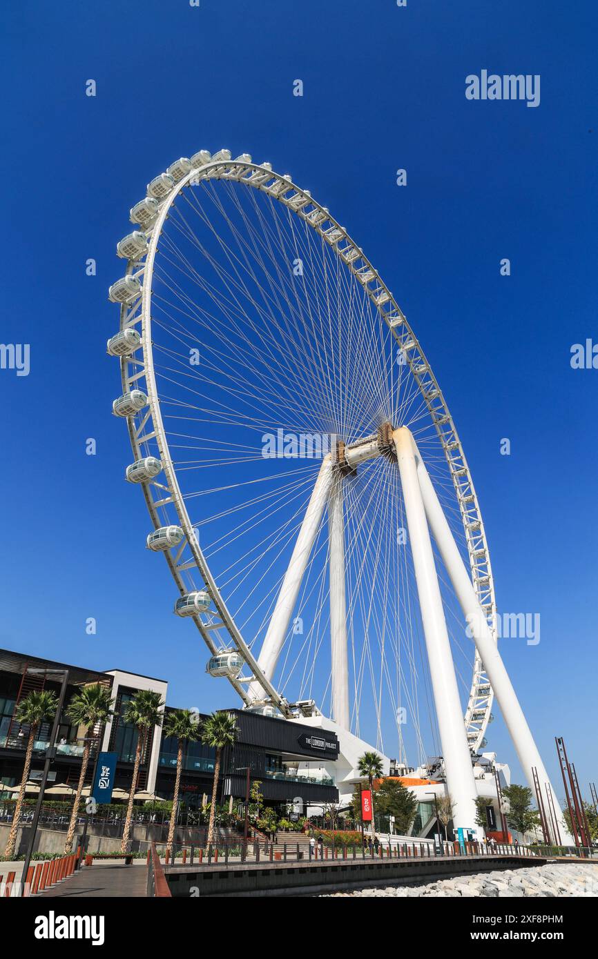 Dubai, VAE - 24. Februar. 2023: Dubai Eye oder Al Ain Riesenrad auf Bluewaters Island für Unterhaltung und Shopping Stockfoto