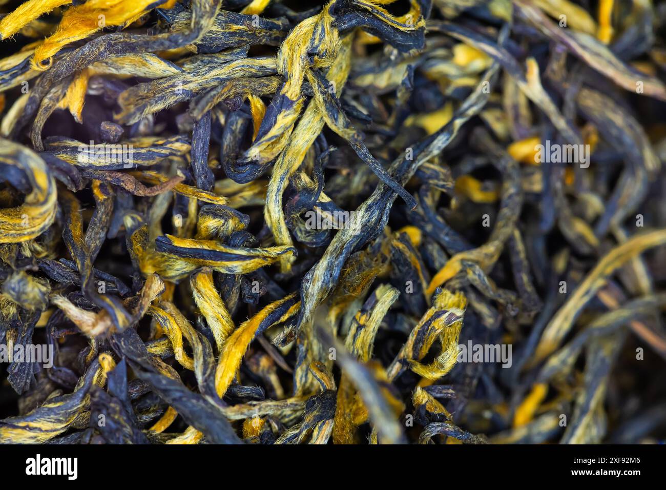 Nahaufnahme des schwarzen Tees mit losen Blättern. Stockfoto