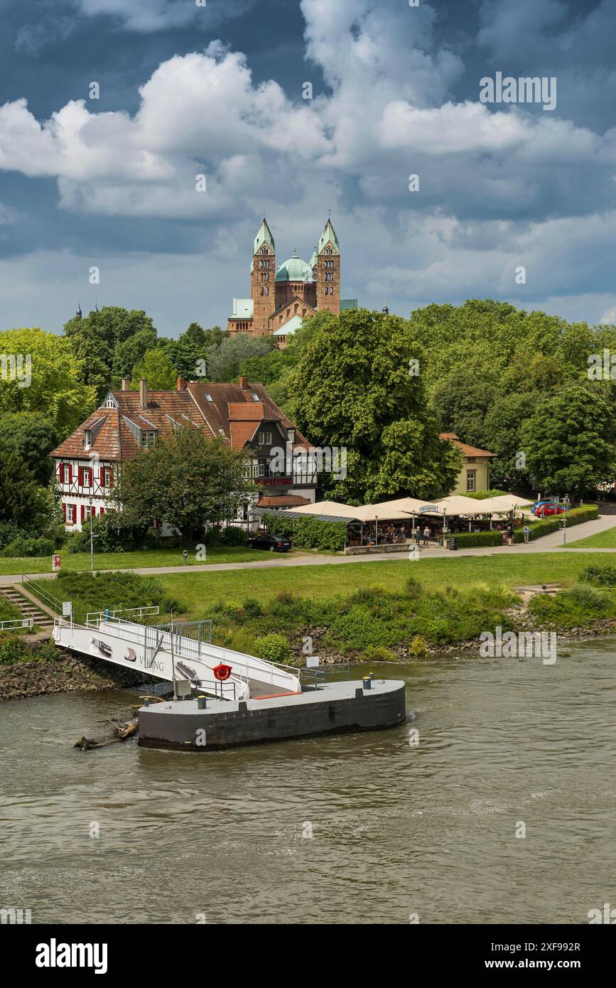 Biergarten am Rhein und Kaiserdom, Maria- und Stephansdom, UNESCO-Weltkulturerbe, Speyer, Rheinland-Pfalz Stockfoto