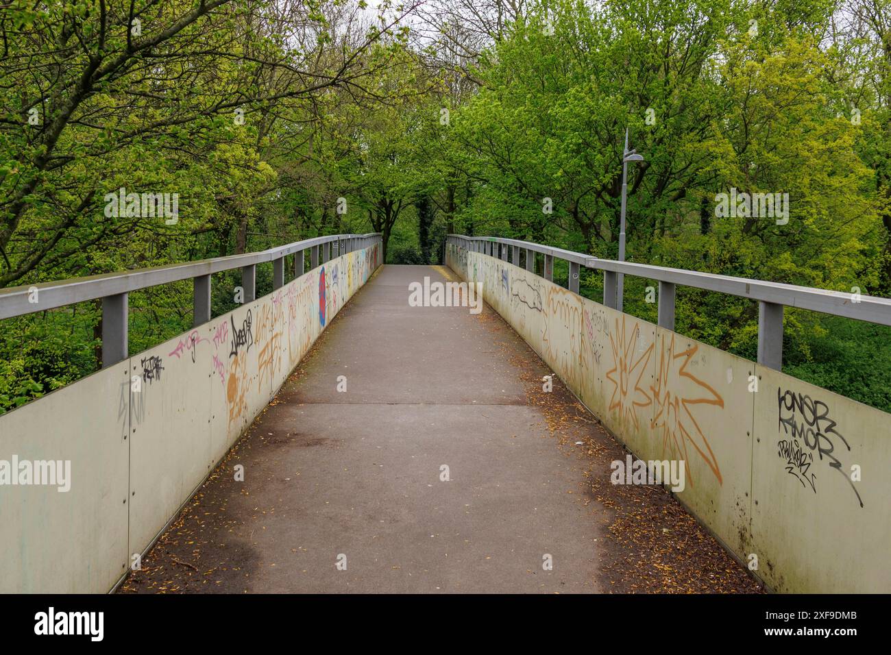 Fußgängerbrücke mit Graffiti an den Seiten, umgeben von grünen Bäumen, Rotterdam, Niederlande Stockfoto