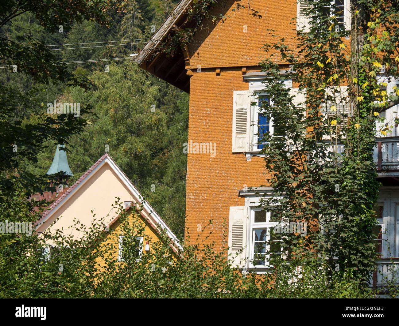 Teilansicht eines roten Hauses umgeben von Bäumen, mit anderen Häusern im Hintergrund, freudenstadt, Schwarzwald, deutschland Stockfoto