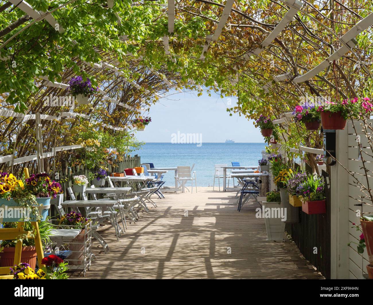 Ein gemütliches Café am Strand mit Blick auf das Meer durch ein Pflanzengewölbe, das eine ruhige und entspannte Atmosphäre schafft, sopot, ostsee, polen Stockfoto