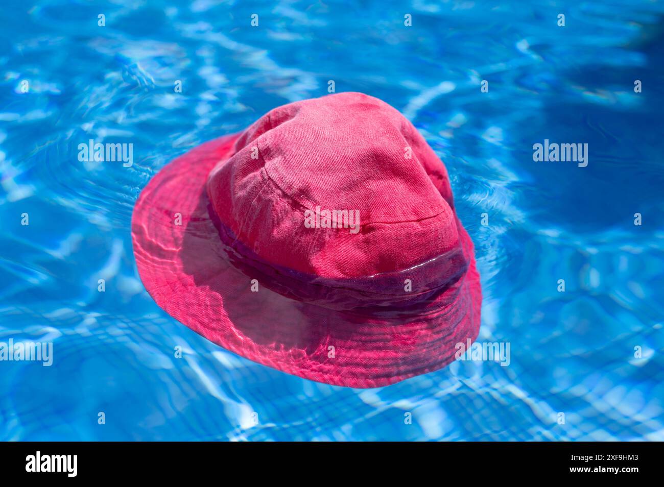 Leuchtend rosa Sonnenhut, schwimmt in einem leuchtend blauen Pool Stockfoto