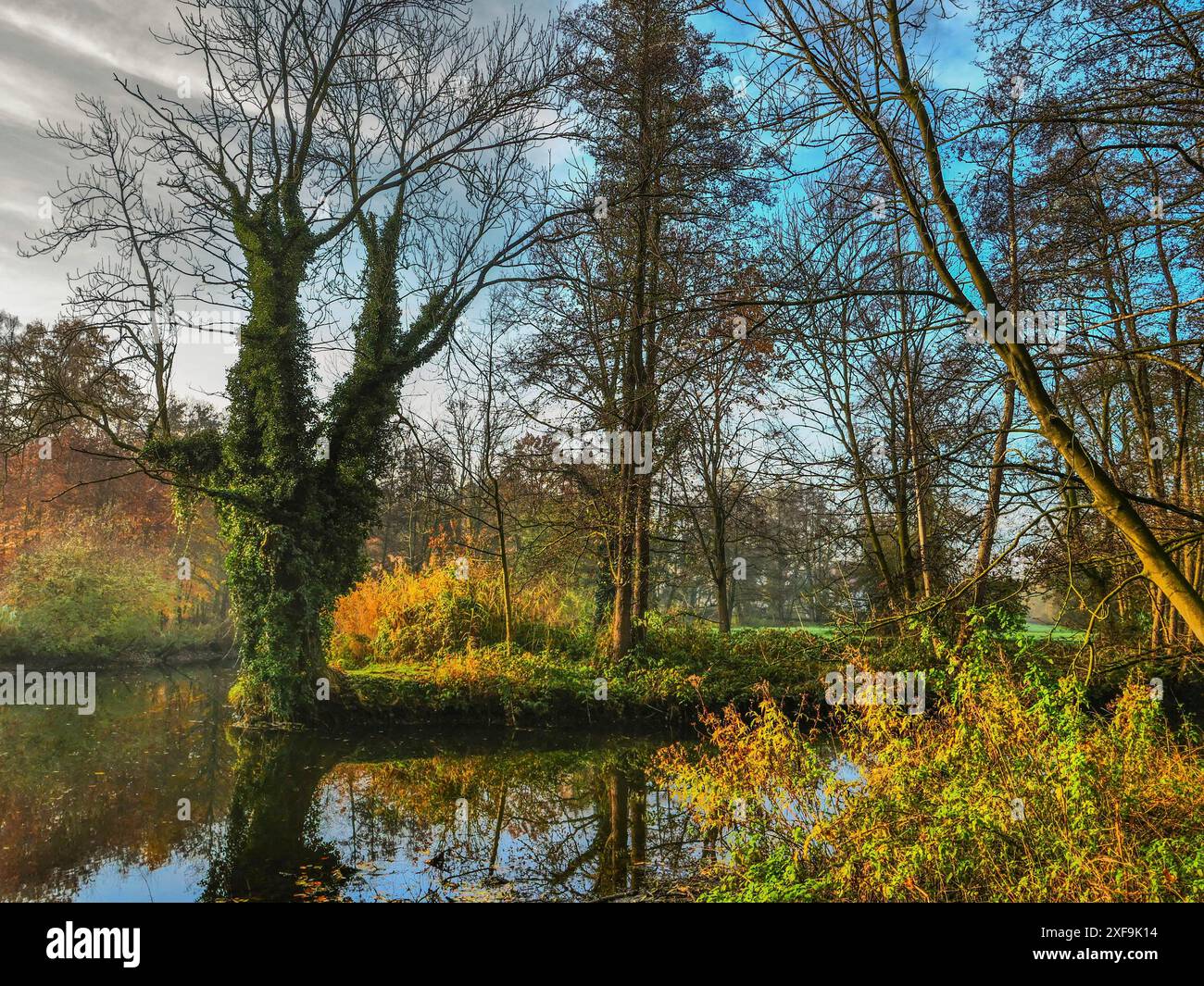 Ruhiger Fluss mit Bäumen und herbstlicher Vegetation, Reflexionen im Wasser unter blauem Himmel, Borken, münsterland, deutschland Stockfoto