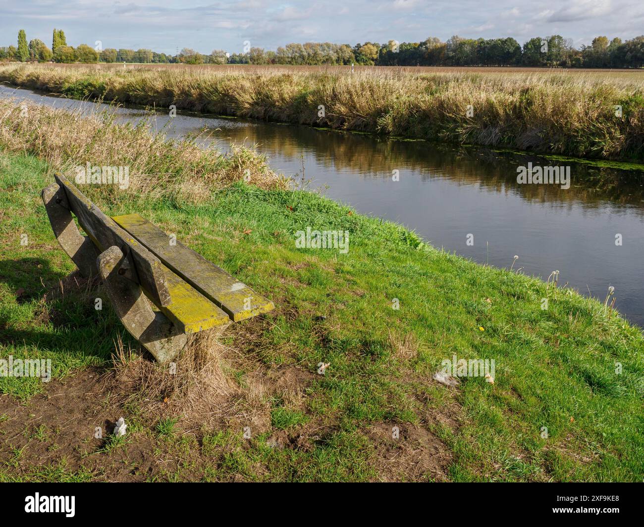 Holzbank am Flussrand, umgeben von grüner Wiese und Herbstlandschaft, schuettorf, Nordrhein-Westfalen, deutschland Stockfoto