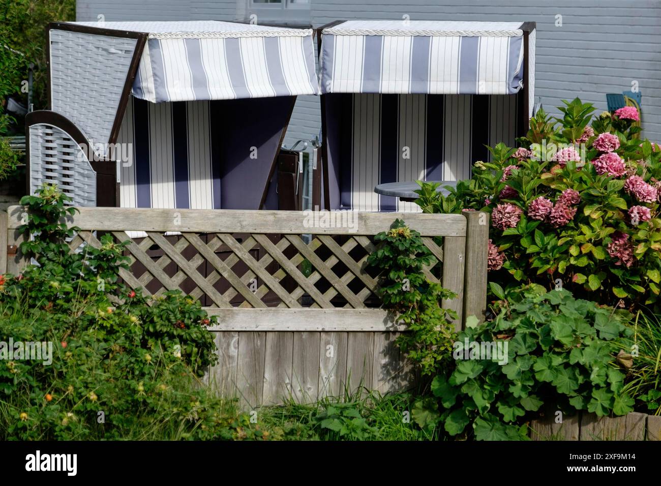 Zwei Liegen stehen in einem gepflegten Garten mit blühenden Blumen und einem Holzzaun, spiekeroog, Nordsee, deutschland Stockfoto