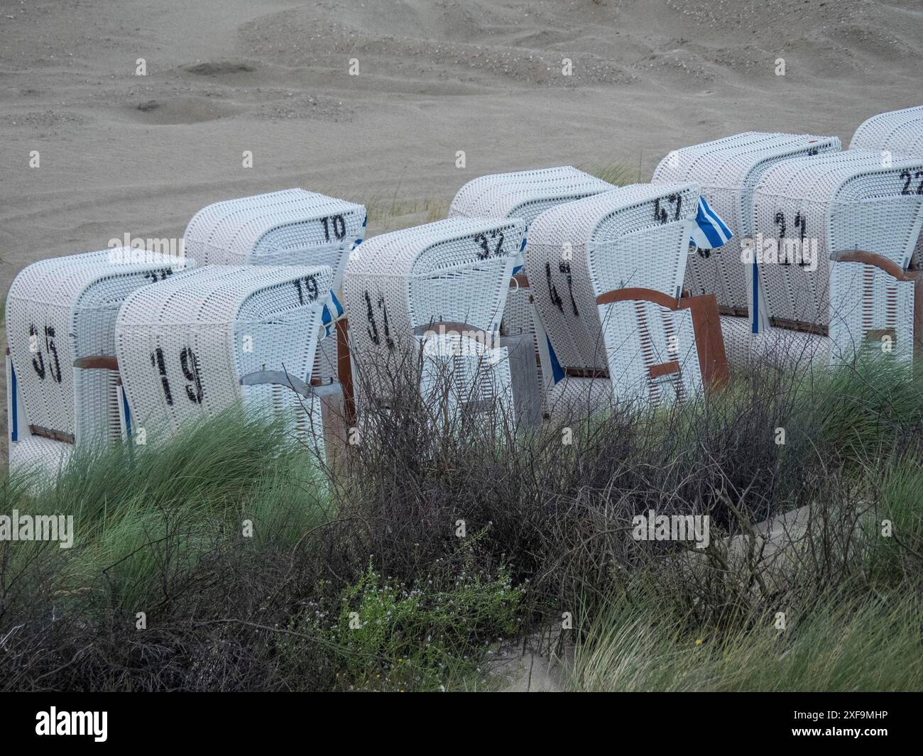 Weiße, nummerierte Liegestühle in der Nähe der Dünen in trockener Strandumgebung, Spiekeroog, Nordsee, deutschland Stockfoto