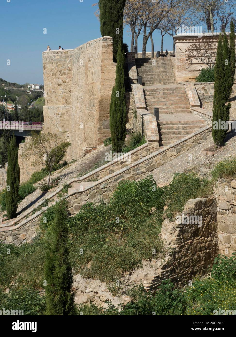 Alte Steinmauern und Treppen mit Vegetation und Zypressen in historischer Umgebung, toledo, spanien Stockfoto