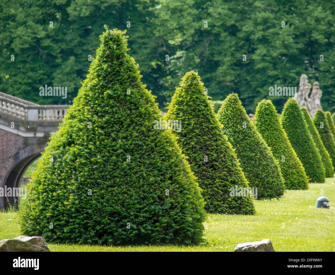 Garten mit symmetrischen, konischen Hecken und einer Steinbrücke im Hintergrund, umgeben von üppigem Grün, nordkirchen, münsterland, deutschland Stockfoto