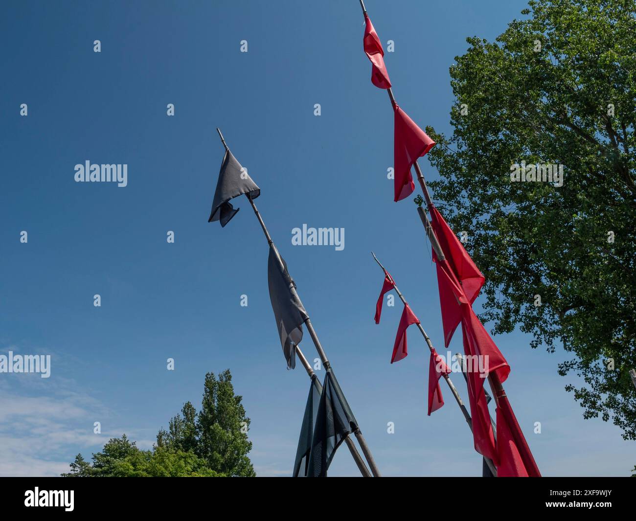 Eine Gruppe roter und schwarzer Fahnen, die im Wind vor klarem Himmel winken, zingst, deutschland Stockfoto