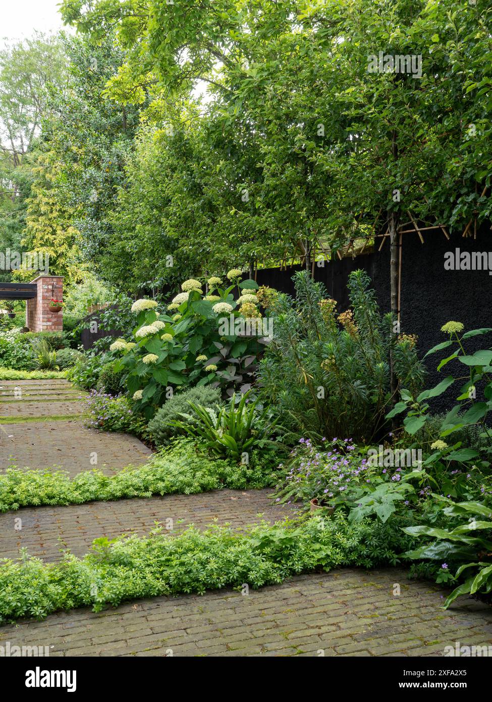 Grüne schattige Grenze in einem britischen Garten mit Pflanzschichten, üppigem Laub, rustikalem gepflasterten Pfad und einem dunklen Grenzzaun mit spalierten Bäumen Stockfoto