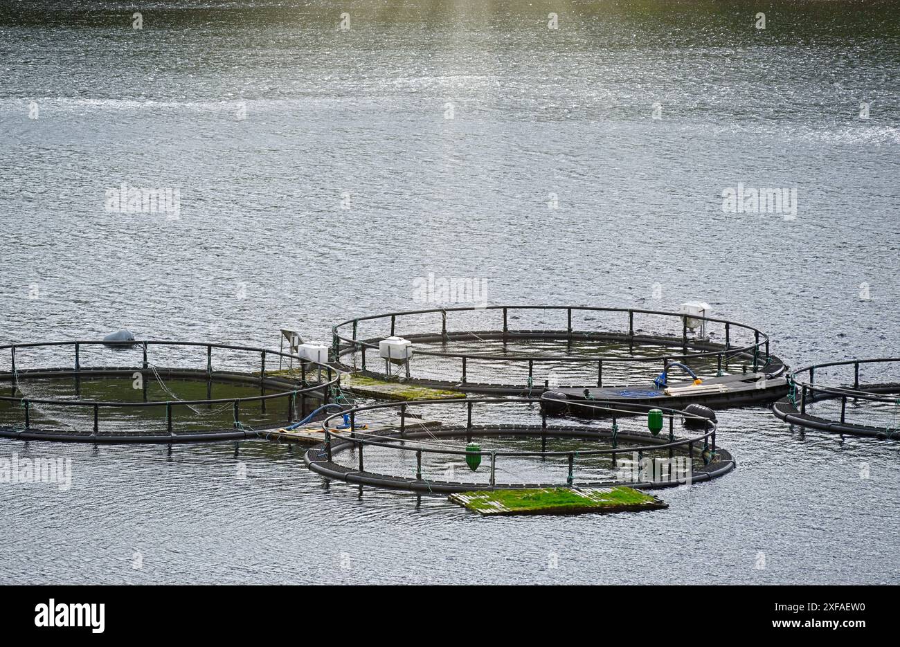 Fish Farm Pens am Loch Tralaig, Argyll und Bute, Schottland Stockfoto