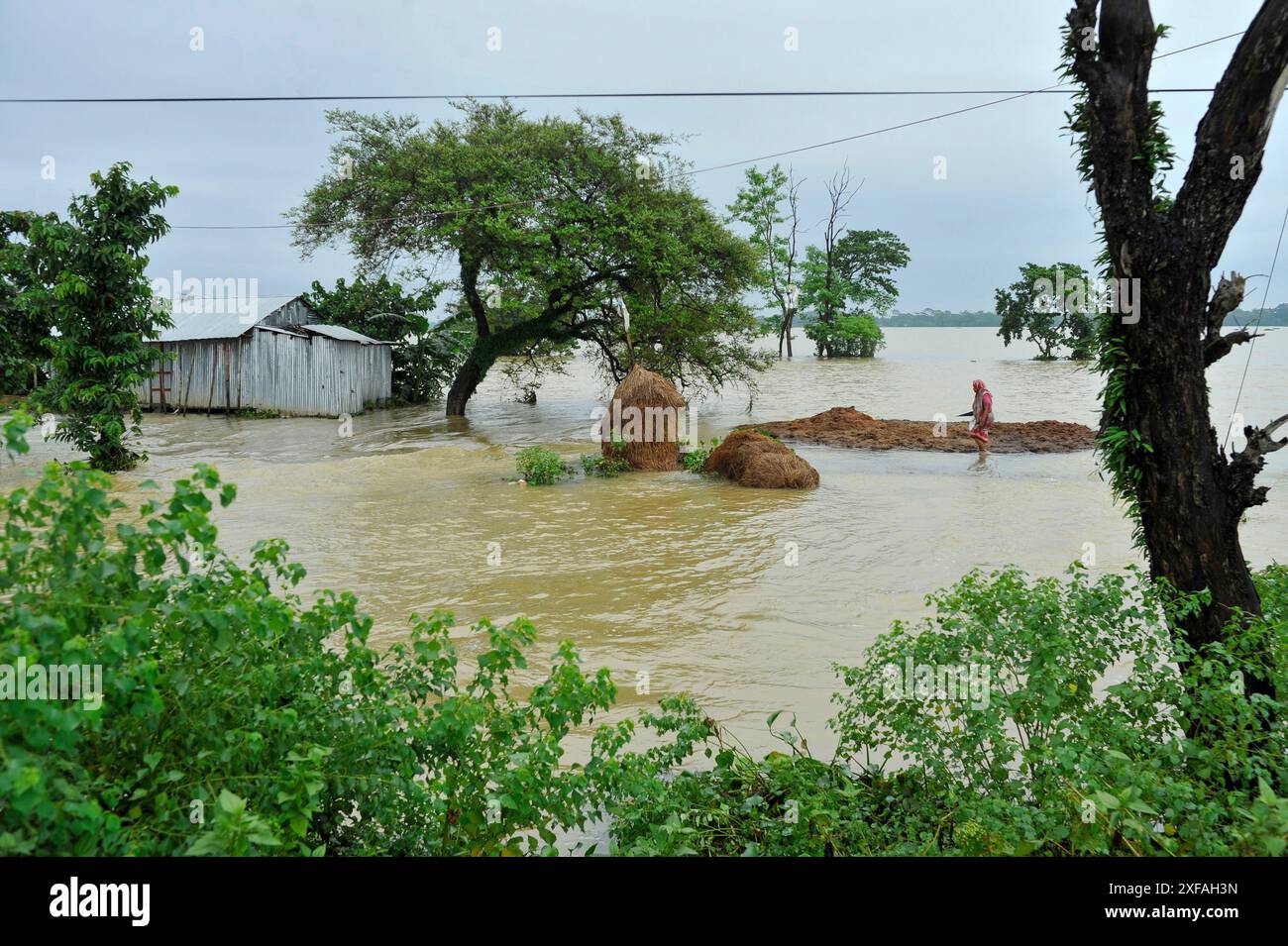 Eine alte Frau watet durch das Hochwasser in Chhatak Than im Bezirk Sunamgonj der Division Sylhet. Bangladesch. Stockfoto