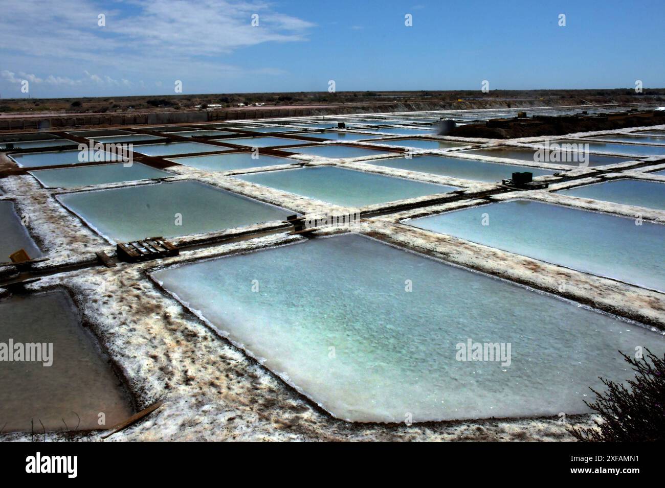 Portugal, Bela Mandil, 18.06.2024 in den Salinen von Grelha in Bela Mandil, Olhao, werden Meersalz und Fleur de Sel auf traditionelle Art und Weise gewonnen. Foto: In Salinas do Grelha werden zwei Arten von Salz hergestellt: Meersalz und Flor de Sal. Das flor de sal ist eine sehr seltene Art von traditionellem Meersalz, das sich an der Oberflaeche der Salinen bildet. Salzsalinen in Bela Mandil *** Portugal, Bela Mandil, 18 06 2024 in den Grelha Salinen in Bela Mandil, Olhao, werden Meersalz und Fleur de Sel auf traditionelle Weise hergestellt Foto bei Salinas do Grel werden zwei Arten von Salz hergestellt Stockfoto