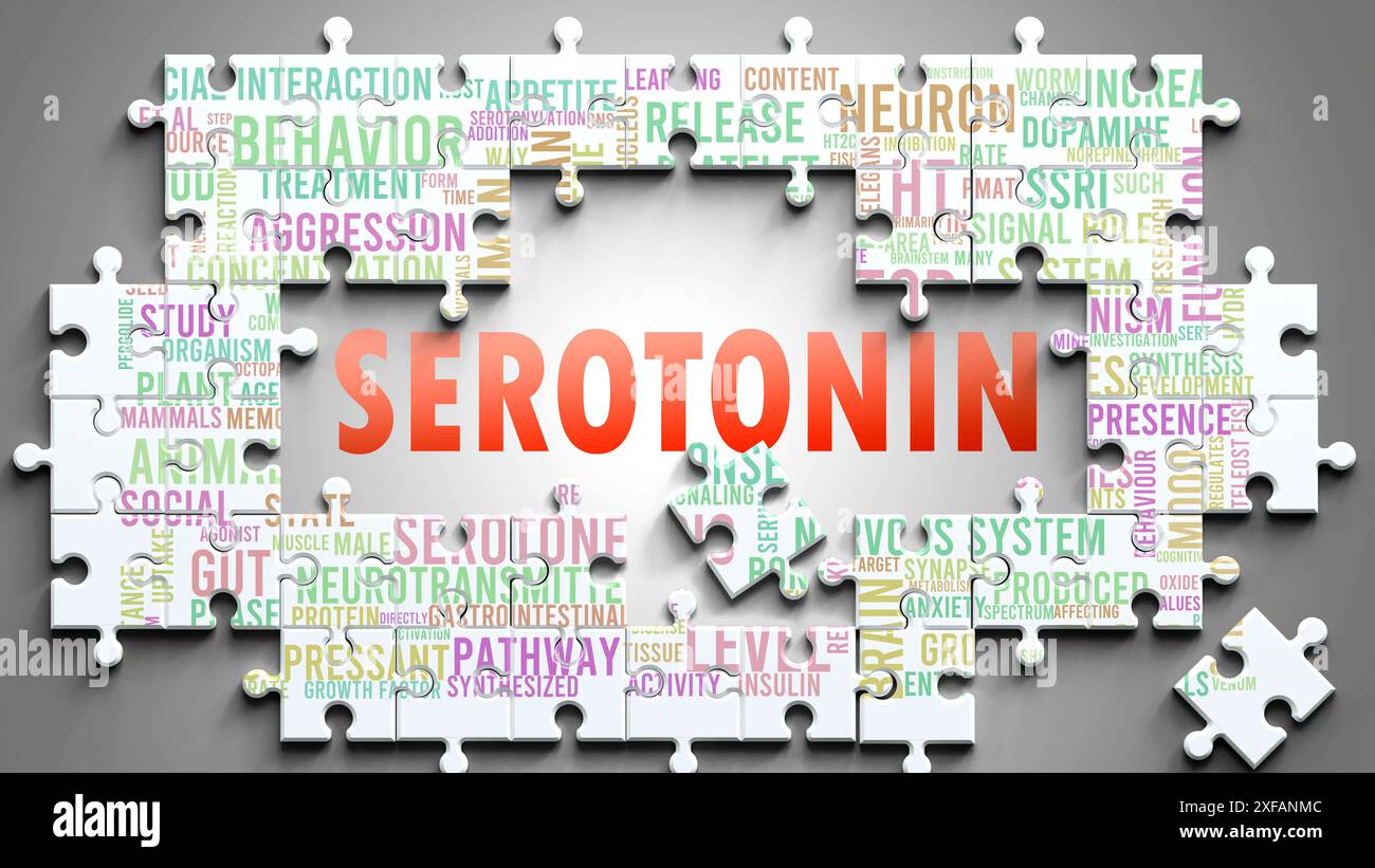 Serotonin ist ein komplexes Thema, das mit anderen wichtigen Themen zusammenhängt. Stockfoto