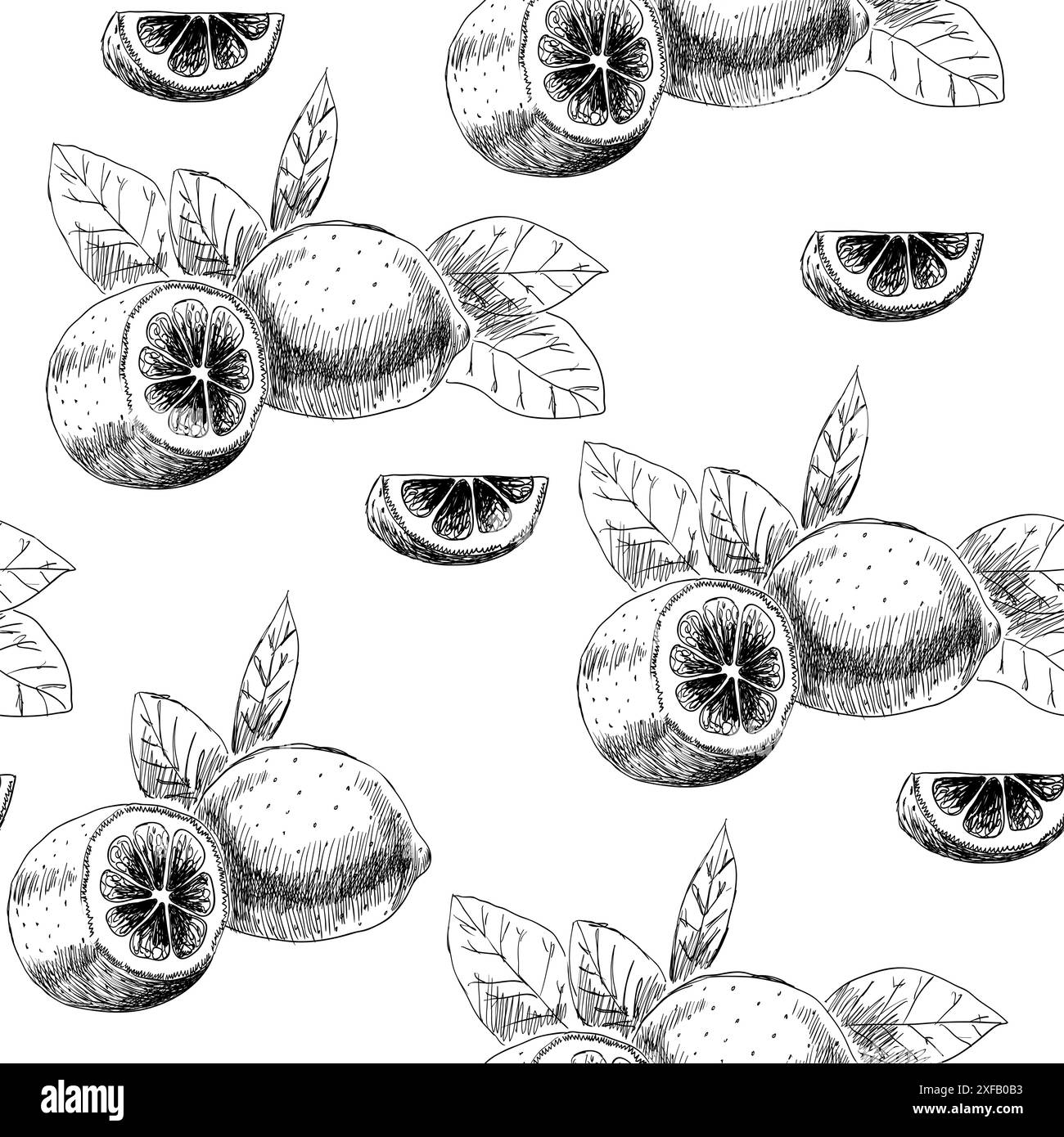 Früchte auf weißem Hintergrund. Nahtloses Muster mit Zitronen. Stock Vektor