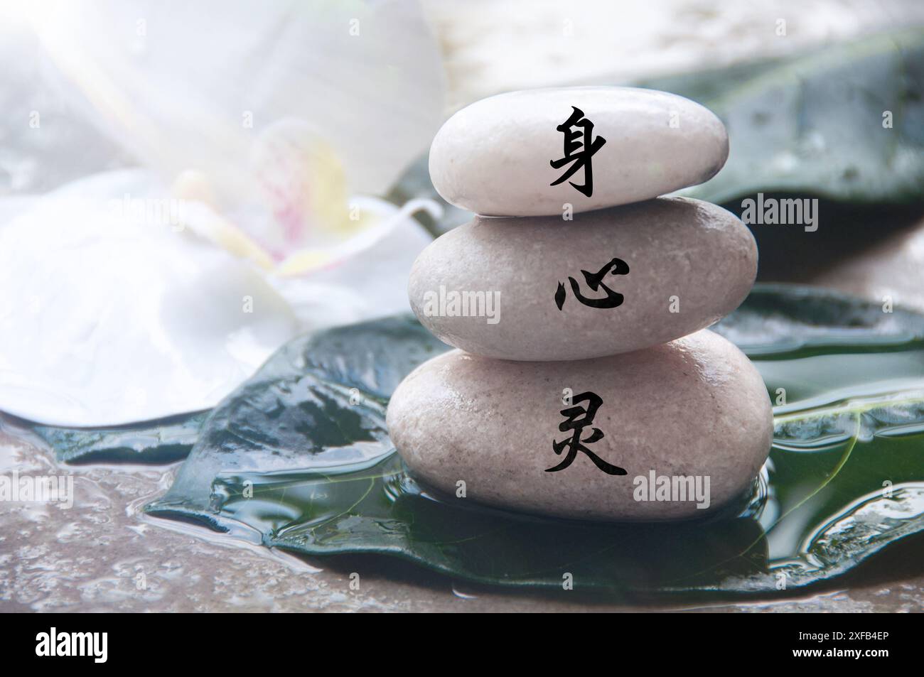 Körper, Geist und Geist in chinesischem Charakter auf Zen-Steinen. Zen-Konzept. Stockfoto