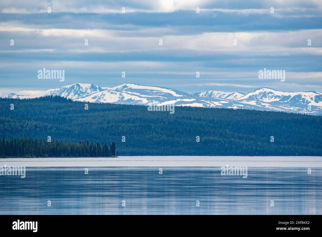 Atemberaubende kanadische Aussicht mit Wildnis Wald und See. Im Sommer auf der South Canol Road im Yukon-Territorium im Norden Kanadas. Stockfoto