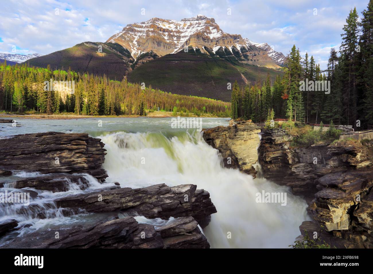 Geografie / Reisen, Kanada, Alberta, Jasper National Park, Athabasca Falls, ADDITIONAL-RIGHTS-CLEARANCE-INFO-NOT-AVAILABLE Stockfoto