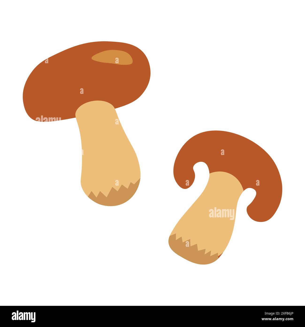 Pilze flach isolierte Illustration. Varianten, Verwendungen und Vorteile für alle Stock Vektor