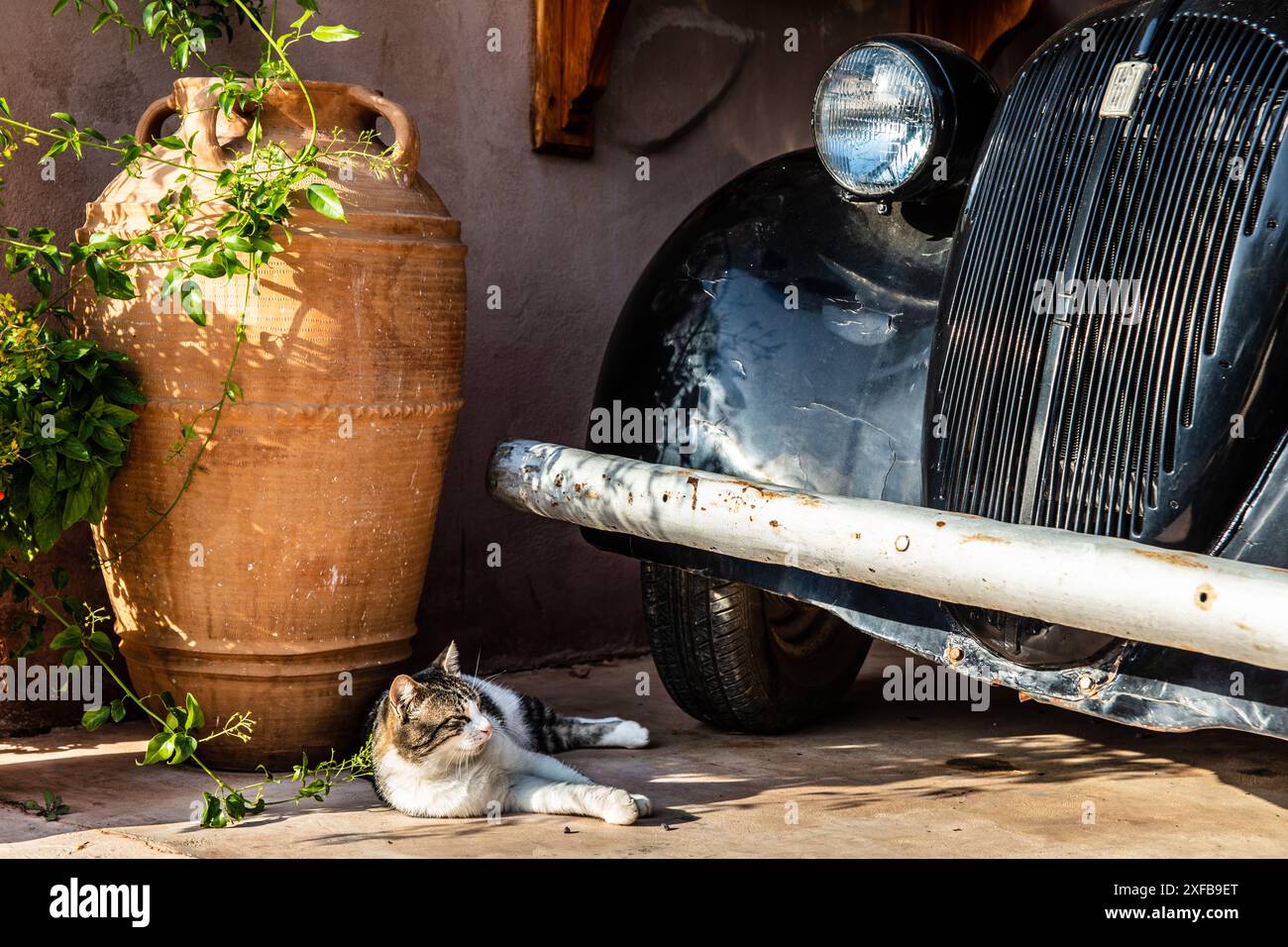 Geografie / Reise, Griechenland, Rhodos, Katze und Oldtimer, ADDITIONAL-RIGHTS-CLEARANCE-INFO-NOT-AVAILABLE Stockfoto