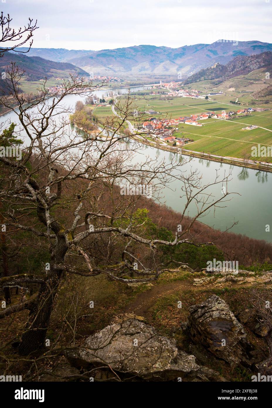 Landschaft der Wachau, Donau, Österreich Stockfoto