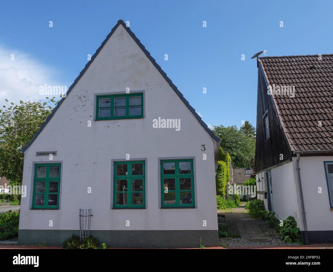 Weißes Haus mit grünen Fenstern neben einem anderen Haus mit brauner Fassade und Garten, Stein, schleswig. deutschland Stockfoto