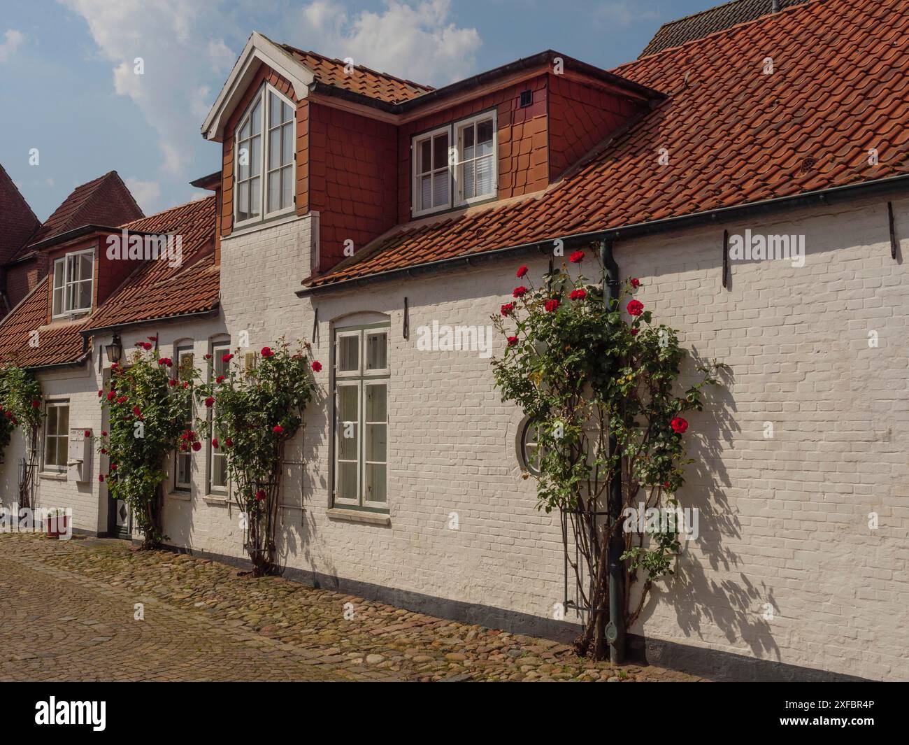 Eine Reihe weißer Häuser mit roten Dächern und Kletterrosen entlang einer Kopfsteinpflasterstraße, husum, schleswig-holstein, deutschland Stockfoto