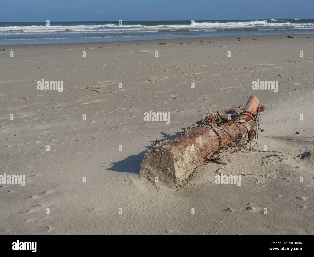 Ein dicker Baumstamm liegt an einem breiten, leeren Strand, das Meer ist leicht beweglich, jäh, ostfriesland, deutschland Stockfoto