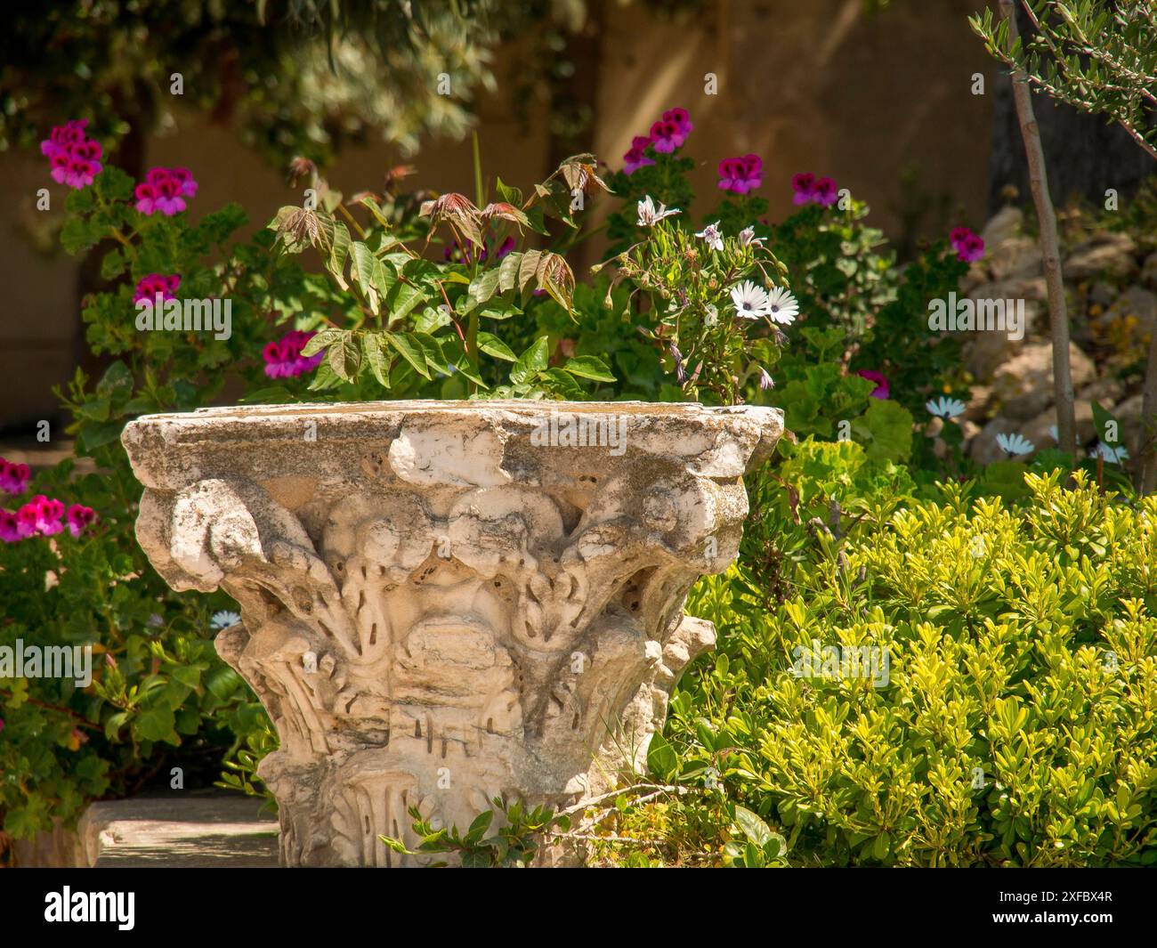Farbenfrohe Blumen und Pflanzen neben einer antiken Säulendekoration im Garten, Tunis, Tunesien Stockfoto