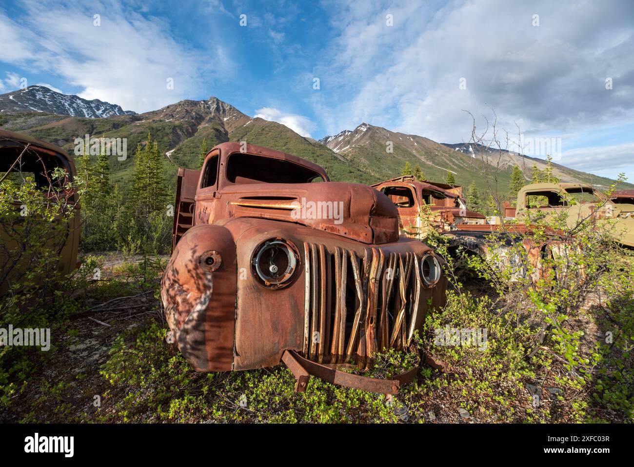 Ein alter, rostiger, alter Truck, eingebettet in die Wildnis mit Sommer-Bergkulisse. Aufgenommen im Yukon-Territorium, Kanada Stockfoto