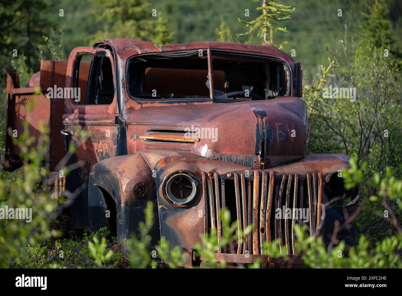 Ein alter, rostiger, alter Truck, eingebettet in die Wildnis mit Sommer-Bergkulisse. Aufgenommen im Yukon-Territorium, Kanada Stockfoto