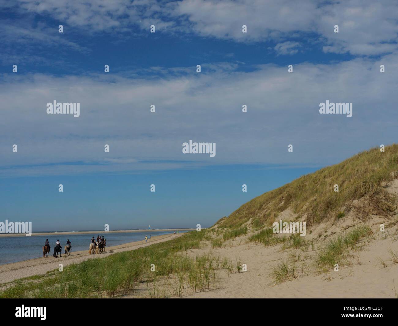 Gruppe von Fahrern entlang des Strandes, umgeben von Dünen und Meer unter blauem Himmel in einer friedlichen Umgebung, langeoog, ostfriesland, deutschland Stockfoto