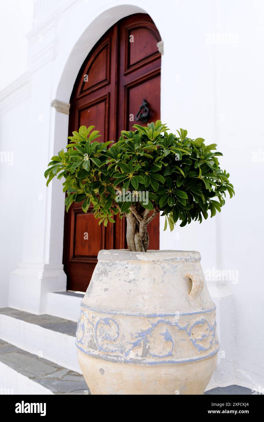 Hauseingang im griechischen Stil mit einer großen Vase mit grüner Pflanze Stockfoto