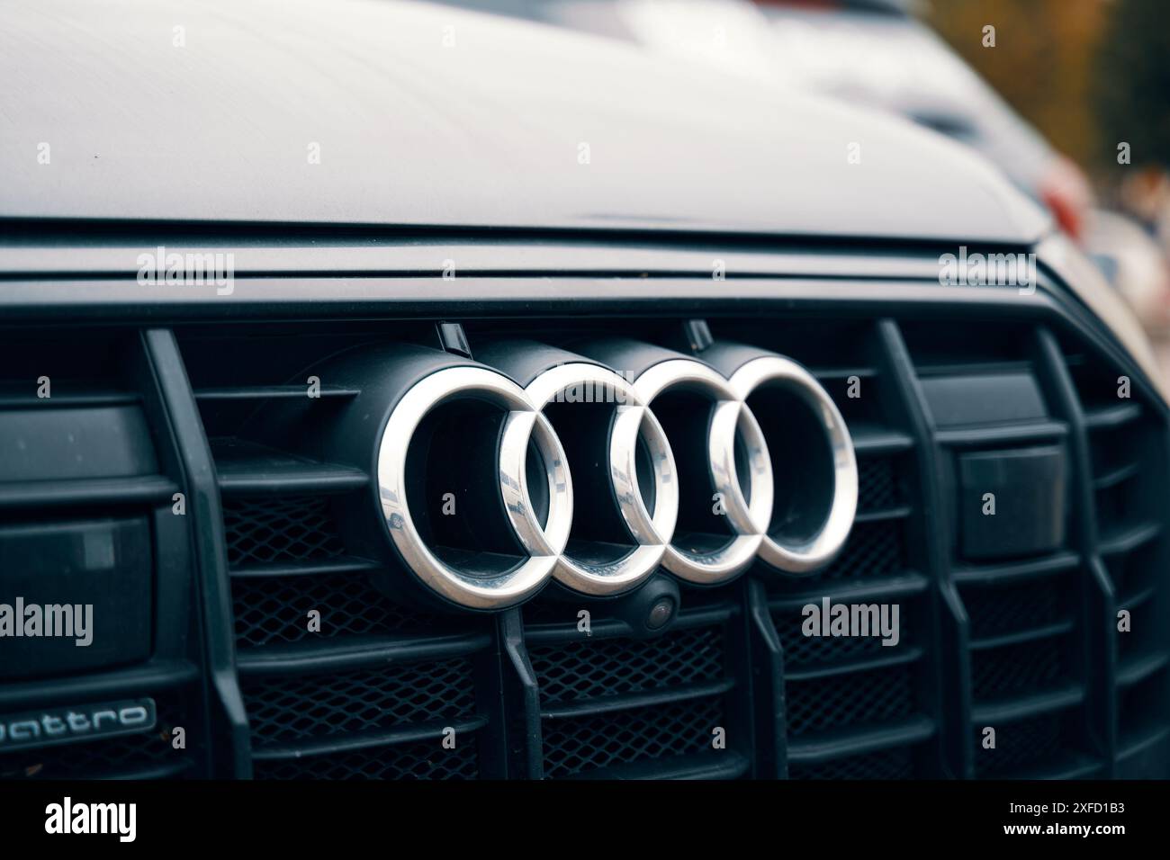 Audi Emblem auf der Motorhaube. Stockfoto