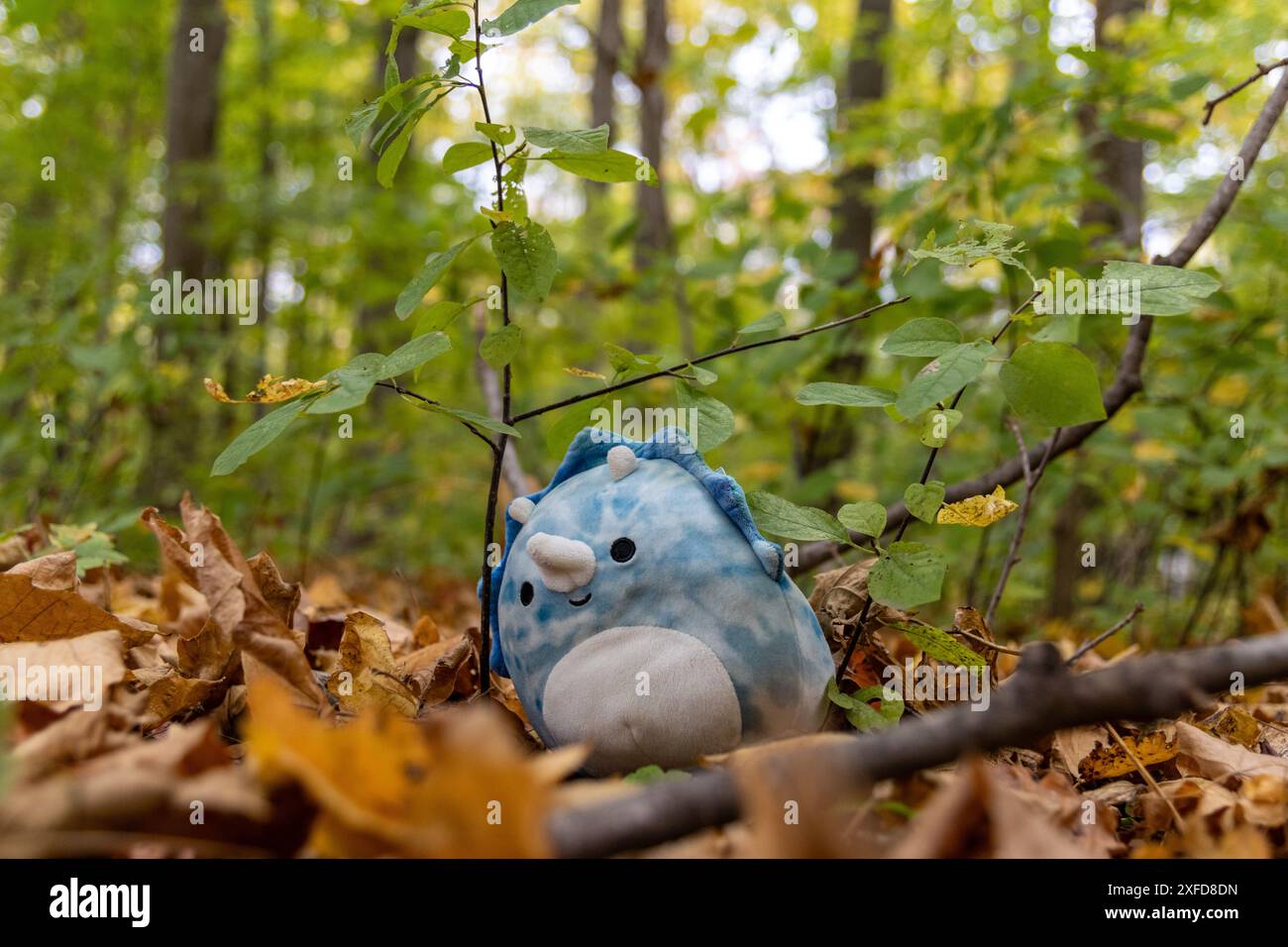 Herbstlicher Waldboden - knusprige, gefallene Blätter - Plüschtier, das einem blauen Wesen ähnelt, eingebettet zwischen Zweigen und Grün. Aufgenommen in Toronto, Kanada. Stockfoto