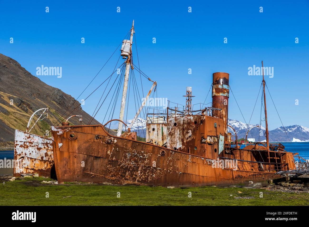 Altes Walschiff, Albatros & Dias, Grytviken, King Edward Cove, Südgeorgien, Dienstag, 28. November 2023. Foto: David Rowland / One-Image.com Stockfoto