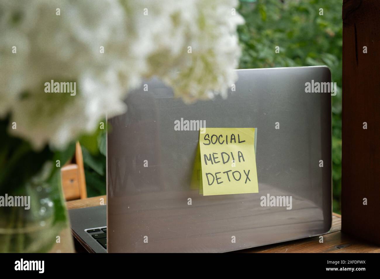 Papiernotiz mit Text SOCIAL-MEDIA-DETOX im Laptop-Garten-Hintergrund. Konzept der digitalen Detox, Trennung von Technologie-Break. Achtsames Leben ohne Gadgets Stockfoto