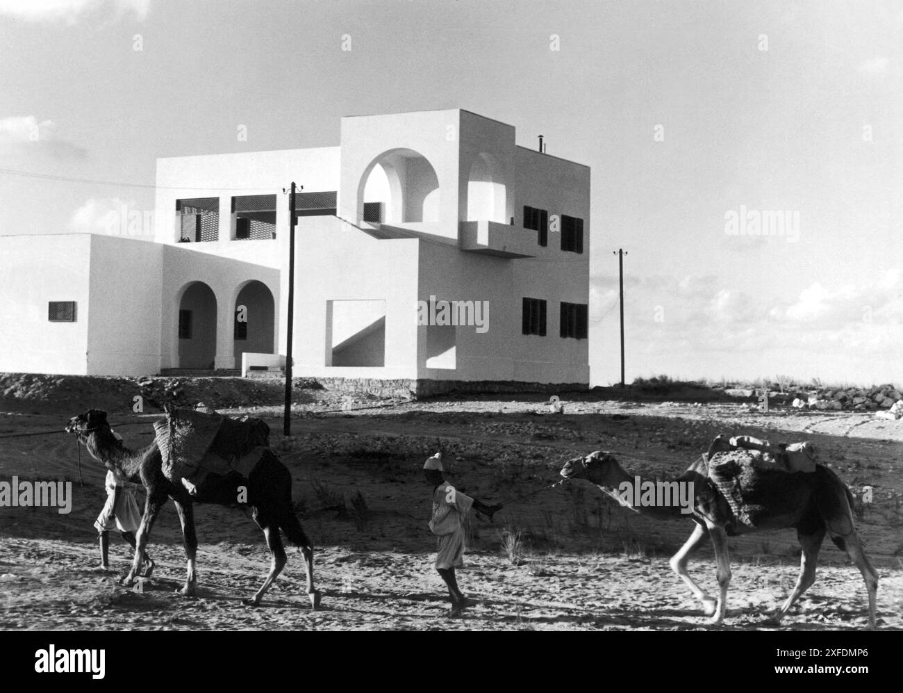 1938 , TRIPOLI , LIBYEN : die Entwicklung des Projekts " BIANCHI " - Anwesen während der italienischen faschistischen Herrschaft über Libyen , beabsichtigt für den italienischen Kolonisten in der Region Tripolis . Das Bauernhaus war im mediterranen modernen Rationalistischen Stil. Fotografiert in krassem Kontrast zum rückständigen und ländlichen Stil der arabischen Einwohner und ihrer Rudeldromedare in Wüstengebiete . Unbekannter Fotograf. - ARCHITETTURA - ARCHITECTURE - STILL RAZIONALISTA MODERNO - MODERNISTA - MODERNISMO - CASA COLONICA - COLONIALISMO ITALIANO IN NORDAFRIKA - KOLONIALISMUS - FASCISMO - FASCISTI - FASCISTA - FASCHISMUS - FO Stockfoto